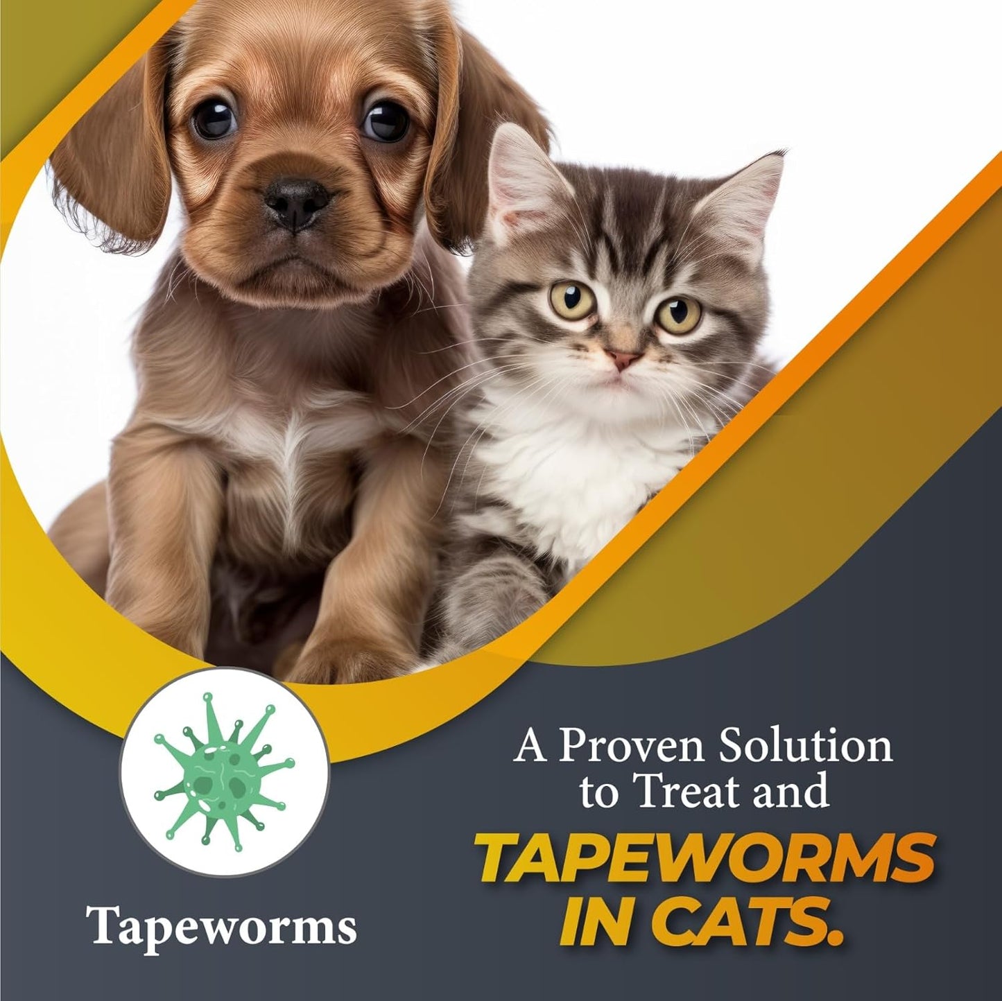 No More Worms in Cats and Dogs- Dewormer for Cats and Dewormer for Dogs - Chicken Flavour 120 MLS with 3ml Dropper