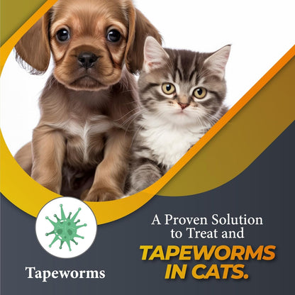 No More Worms in Cats and Dogs- Dewormer for Cats and Dewormer for Dogs - Chicken Flavour 120 MLS with 3ml Dropper