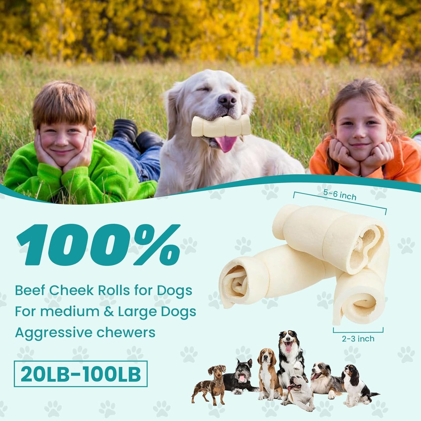 Beef Cheek Rolls 5-6” Water Buffalo Retriever Style Cheek Roll Dog Chews 5 Pack Collagen Sticks Chews for Dogs Long Lasting Chew Treats Great for Power Chewers Safe Rawhide Alternative Retriever Rolls