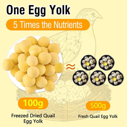 3.52oz/100g Freeze Dried Quail Egg Yolk, Cat and Dog Treats, Single Ingredient Pet Snacks, Healthy Tasty Dry Pet Food