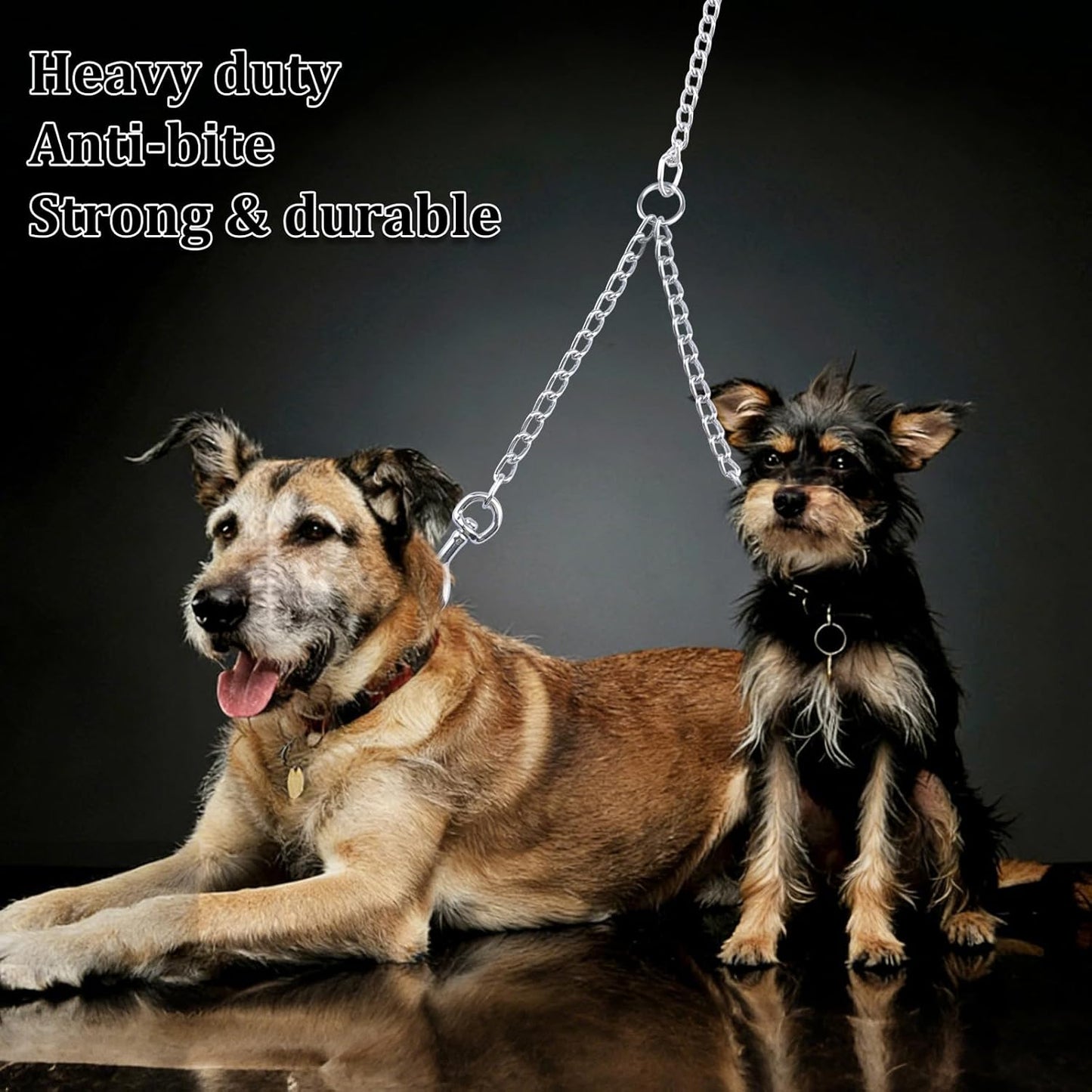 Double Dog Leash Coupler-360°Swivel,1 PCS Dog Lead Metal Chain No Tangle Walking Metal Leash with Shock Absorbing Bungee for Outdoor Walk Train Small Medium Pet(60cm/23.62in,Silver)