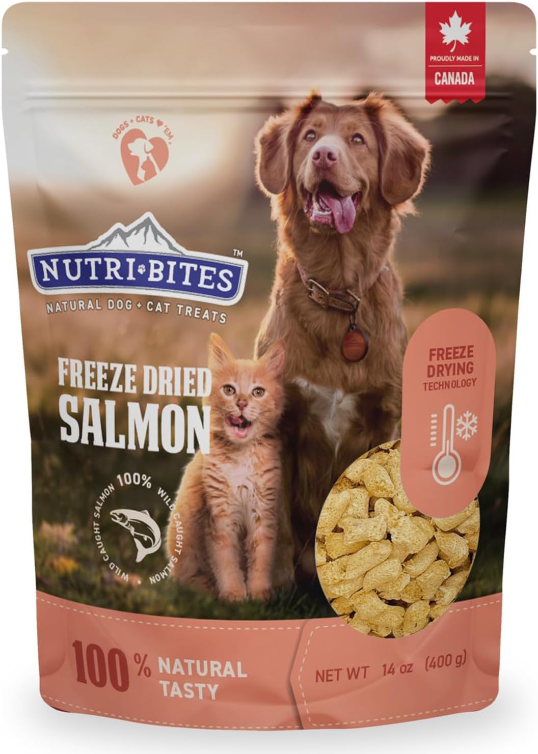 Nutri Bites Freeze Dried Salmon Dog & Cat Treats | Healthy Pet Training Treats or Food Topper | All Natural, 1 Single Animal Protein, High Protein | Premium Bulk Value Pack, 14 oz