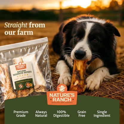 Nature's Ranch Premium Marrow Bones for Dogs – 6–7 Inch, 3 Pack, 100% Natural, Slow-Roasted, Long-Lasting Chews for Dental Health | Ideal for Medium & Large Dogs