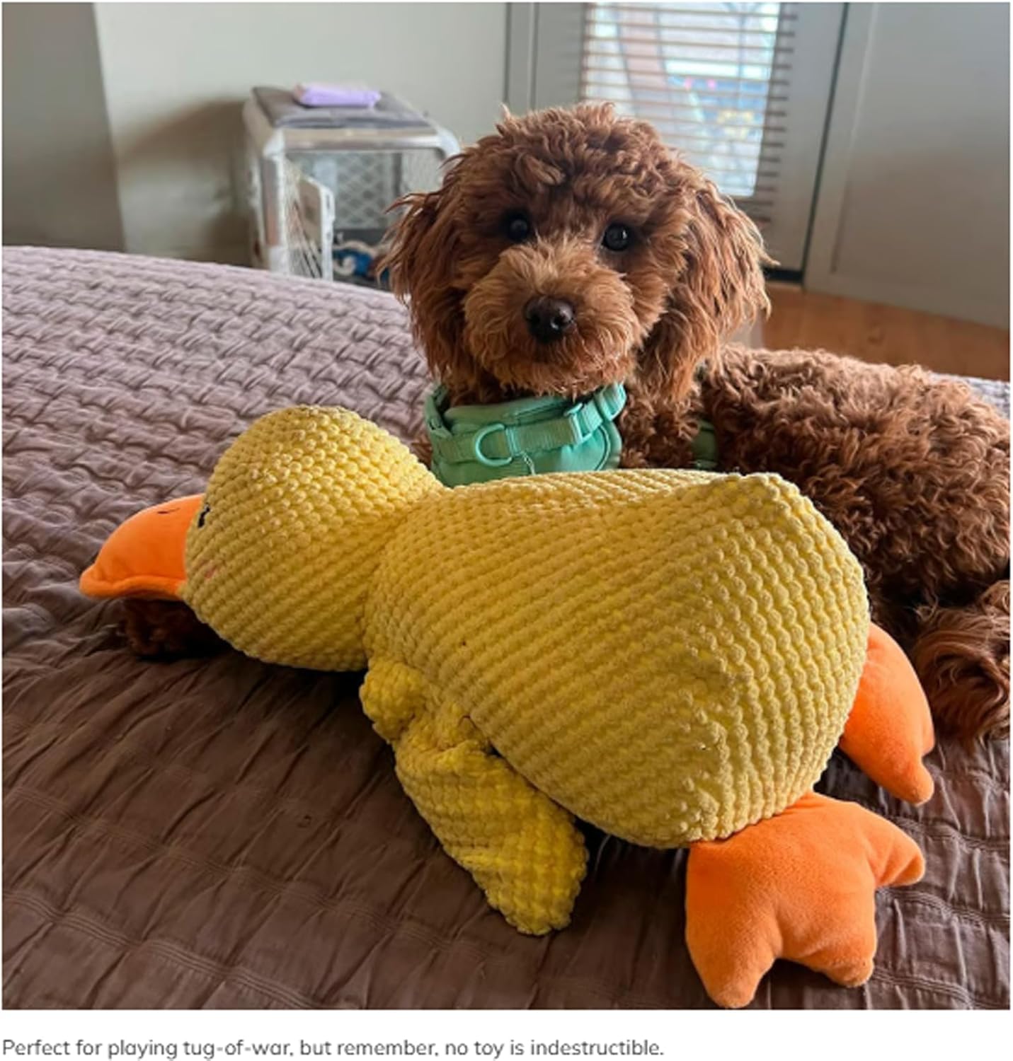 3 PCS Calming Emotional Support Yellow Duck Stuffed Dog Toy Calming Emotional Support Duck Stuffed Dog Toy (Green(S+M+L))