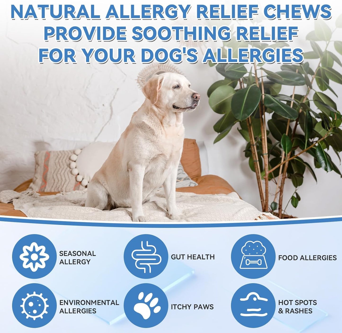 Dog Vitamins & Dog Allergy Relief Chews
