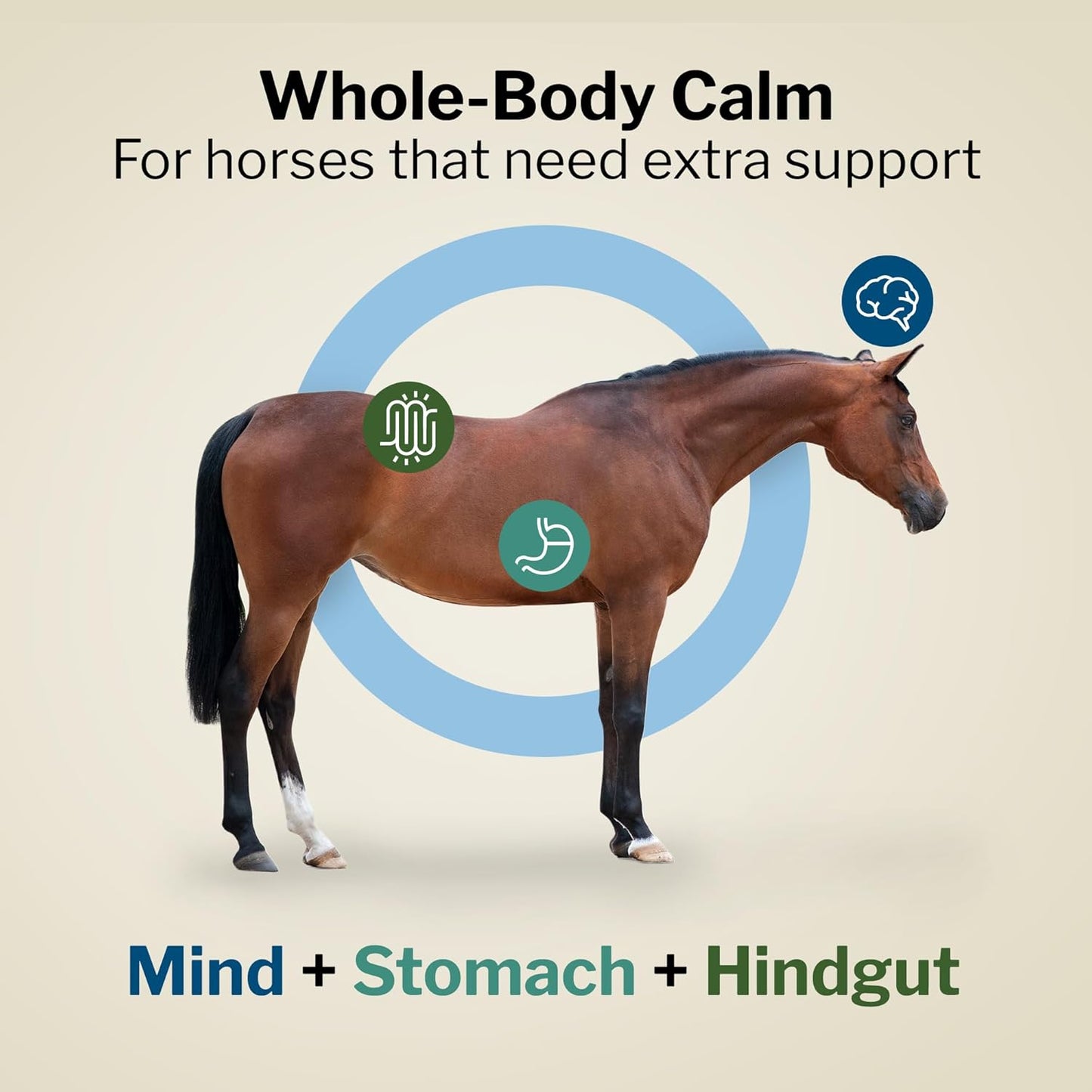 Formula 707 Support Pro Daily Packs for Horses - 28 Day Supply - Calming, Ulcer Support, Hindgut Health, Focus & Stress Relief