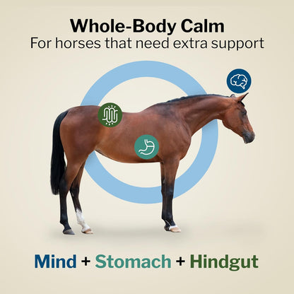 Formula 707 Support Pro Daily Packs for Horses - 28 Day Supply - Calming, Ulcer Support, Hindgut Health, Focus & Stress Relief