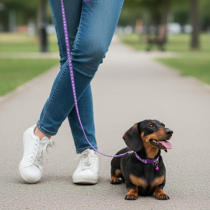 48 Pcs Dog Collar and Leash Set, Nylon Puppy Collars Bulk, Polypropylene Adjustable Paw Print Puppy Col with Quick Release Buckle, for Puppies and Kittens, Multicolor