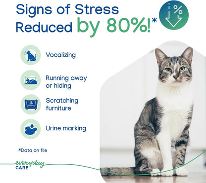 Virbac Zenifel Gel Diffuser for Managing Stress-Related Behaviors in Kittens & Cats - No Electricity Needed - Lasts Up to 2 Months - 1 Diffuser