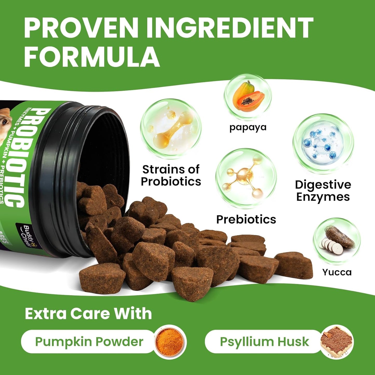 Digestive & Skin Support Chews + Dental Care Powder - Probiotics with Enzymes for Gut Comfort & Itch Ease, Tartar Control & Fresh Breath for Dogs & Cats - 180 Chews + 150g Powder