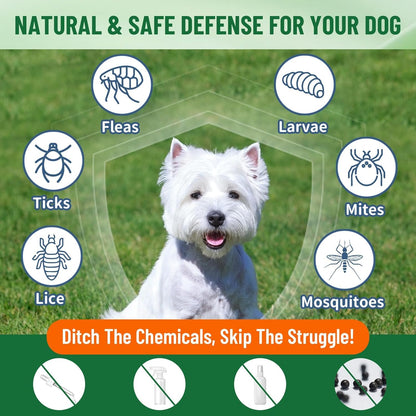 Natural Flea and Tick Prevention for Dogs, Oral Herbal Dog Flea and Tick Treatment Drops with Pumpkin Seed & Black Walnut for Dogs, Skin & Coat Care - Digestive & Immune for All Breeds and Ages, 60ml