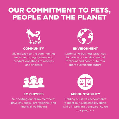 Go! Solutions Skin + Coat Care, Dry Cat Food, Chicken Recipe with Grains, 16 lb Bag