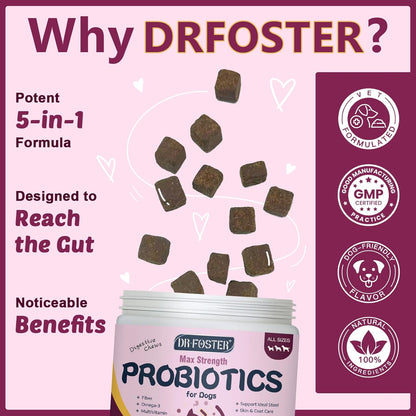 Probiotics for Dogs Freeze-Dried & Soft Chew