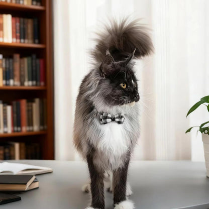 4 Pcs Bow Tie Cat Collar, Breakaway Kitten Collar Quick Release Cat Collars with Bell and Small Fish Pendant, Adjustable Plaid Kitten Collar for Cats/Pet Cats Kittens