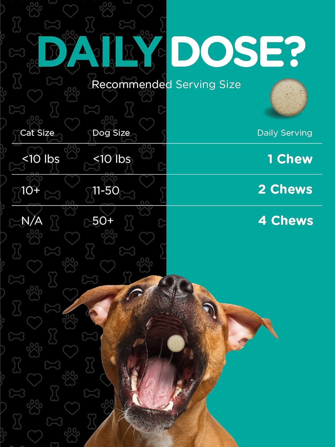 Horbäach Probiotics for Dogs & Cats | 120 Chewable Tablets | Digestive Aid | with 14 Probiotic Strains | Savory Beef Flavored Pet Supplement | by River & RULA