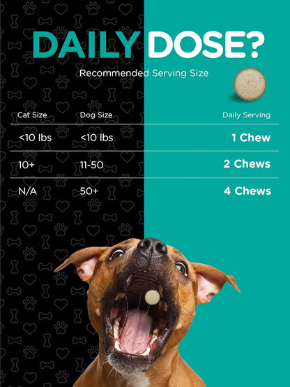 Horbäach Probiotics for Dogs & Cats | 120 Chewable Tablets | Digestive Aid | with 14 Probiotic Strains | Savory Beef Flavored Pet Supplement | by River & RULA