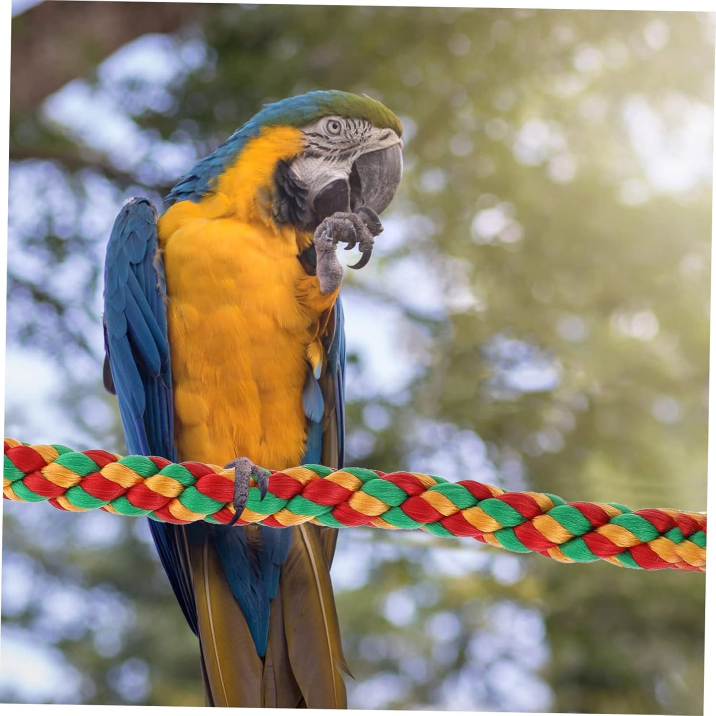 Happyyami 2pcs Rope Perch Set for Parrots Budgies and Macaws Multi-Purpose Chewing Toy Natural Material Lengths