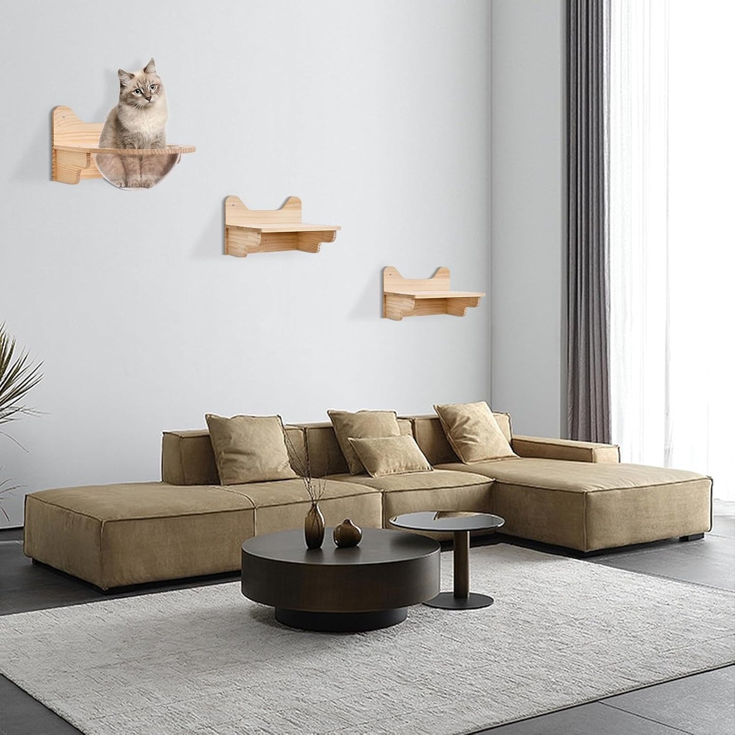 Wooden Cat Space Capsule with Jumping Platforms, Wall-Mounted Pet Bed with Acrylic Dome, Pine Wood Climbing Perch, Large Transparent House for Home, Cat Cafes, Pet Stores, Pet Hospitals