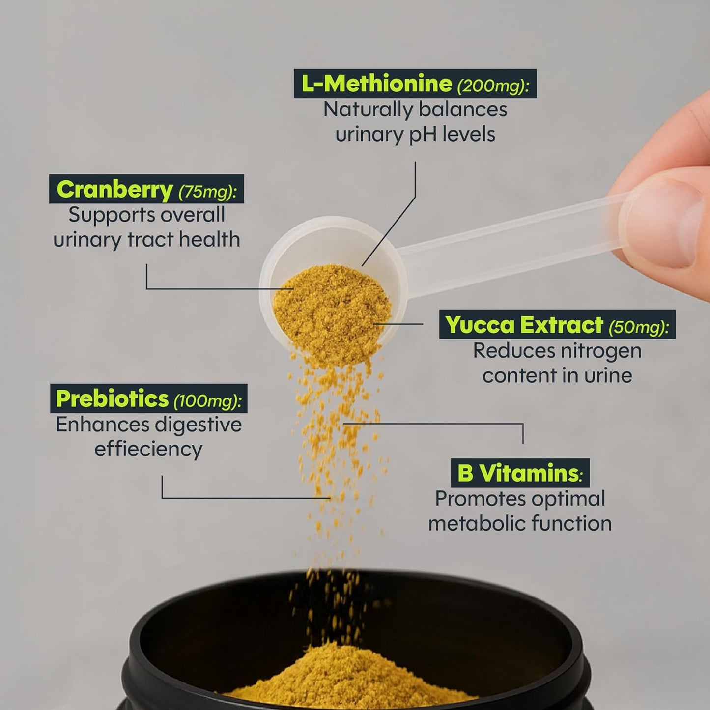 Green Relief Dog Urine Neutralizer for Lawn - Natural Grass Saver Powder Supplement with L-Methionine, Cranberry & Probiotics - Prevents Yellow Patches from Dog Pee - Made in USA