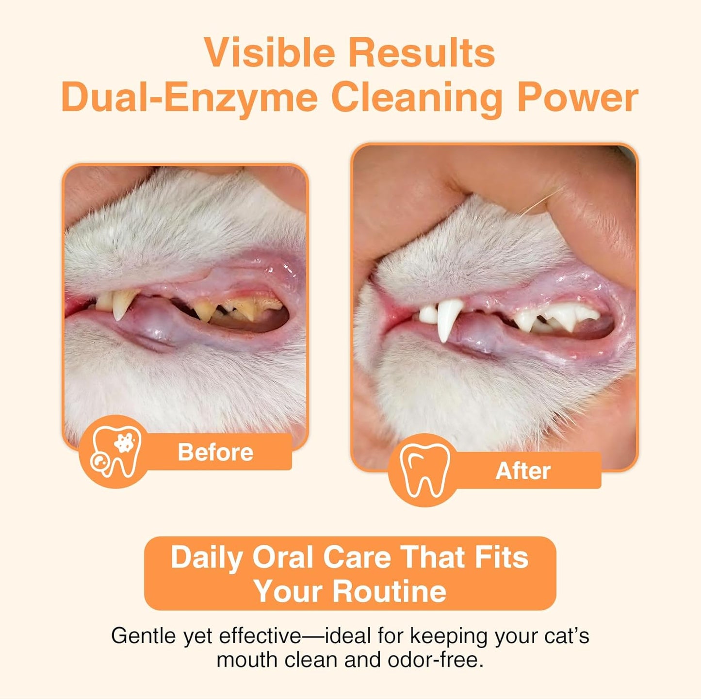 Enzymatic Cat Toothpaste Kit – Roast Chicken Flavor Dental Care for Cats & Kittens | Fights Plaque, Tartar & Bad Breath | Includes Toothbrush & Finger Brush, 1.06 oz