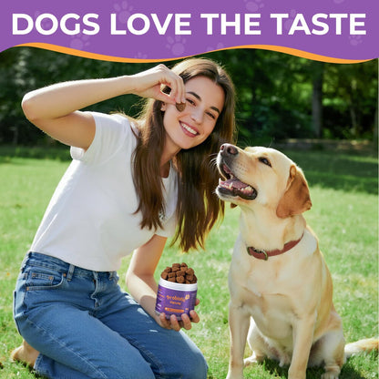 Probiotics for All Breeds and Ages Dogs, Support Gut Digestive Health, Anti Diarrhea, Constipation Relief, No More Allergies, Dog Supplements - Pork Flavor - 90 Soft Chews