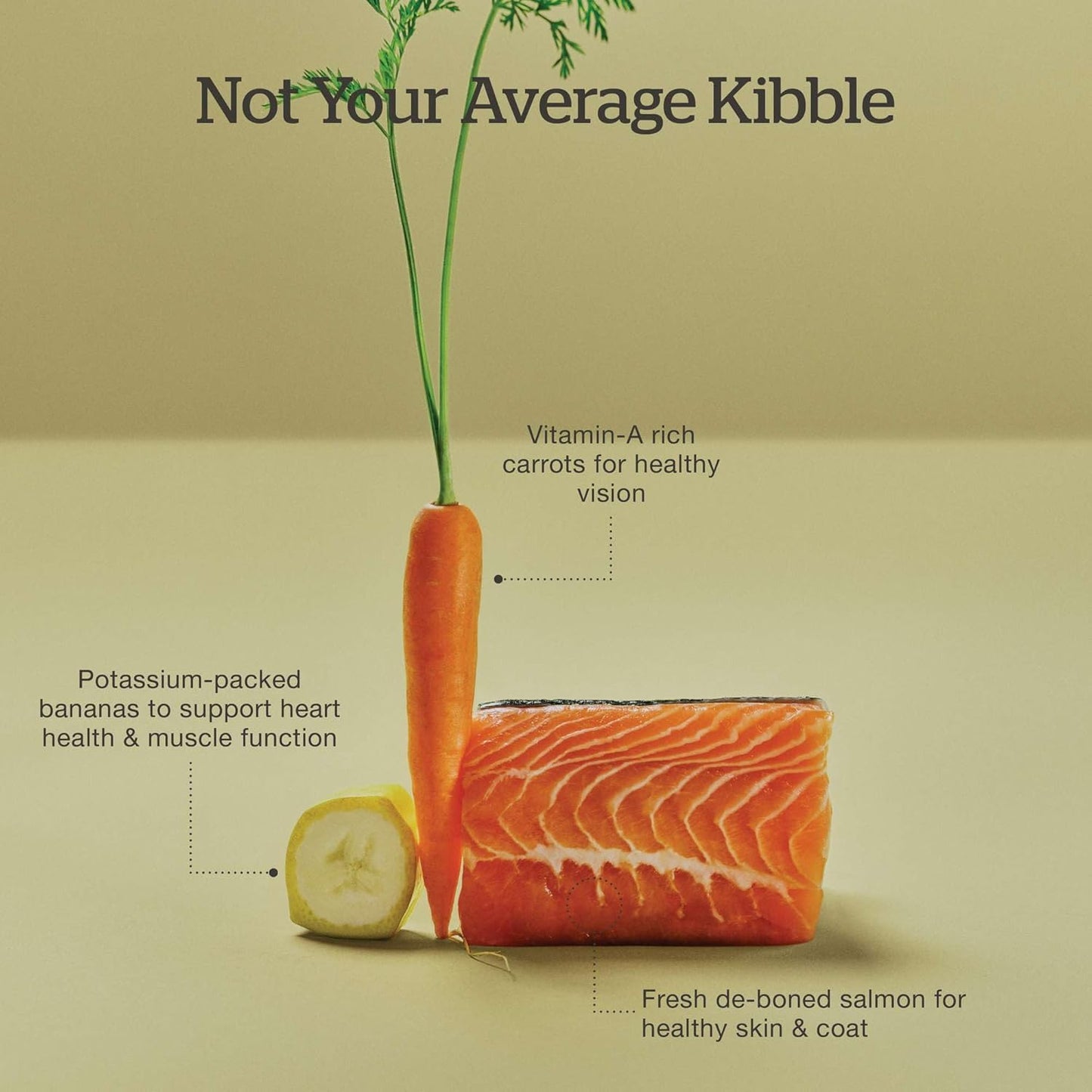 Now Fresh Good Gravy Grain-Free Dry Cat Food with Salmon, Healthy Kibble for Adults & Seniors Coated in Bone Broth – Just Add Water to Moisten, Chicken-Free Recipe for Sensitive Stomachs, 3 lb Bag