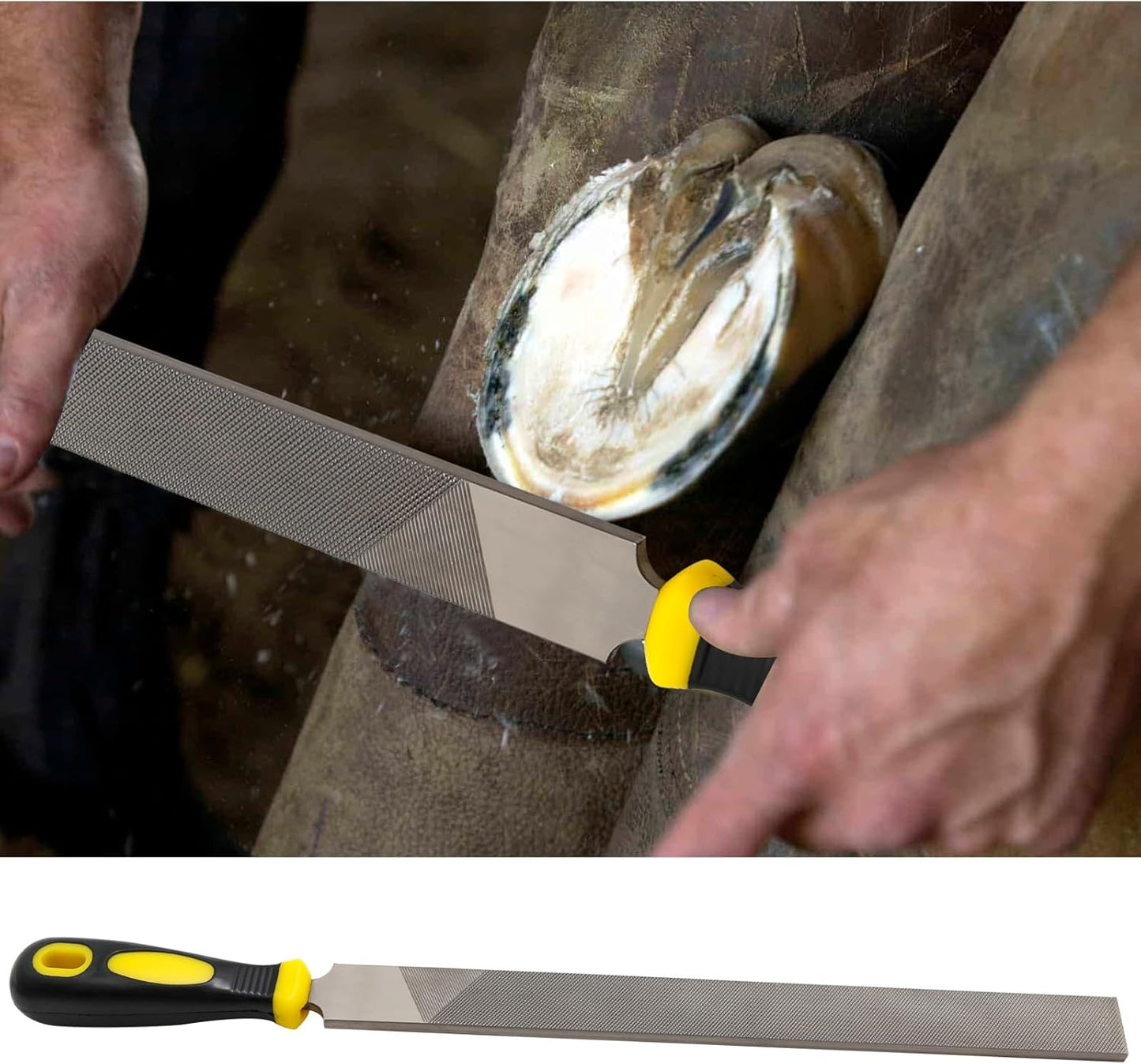 T12 High Carbon Steel 40cm Flat File with Handle, 12-Inch Flat File, Hoof Rasp