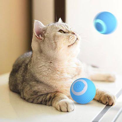 Interactive Cat Ball Toy, cat toy ball roller, Active Rolling Ball for Dogs, Bouncing Rolling Ball, Activated Rolling Ball, 360 Degree Rotating Ball, USB Charging Pet Toy for cats