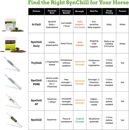 SynChill AF Behavioral Support Gel for Horses – Single Serving – Advanced L-THEANINE-Free Formula, 100% Natural Supplement, Composure, Focus & Confidence Support for Horses - 10 Pack
