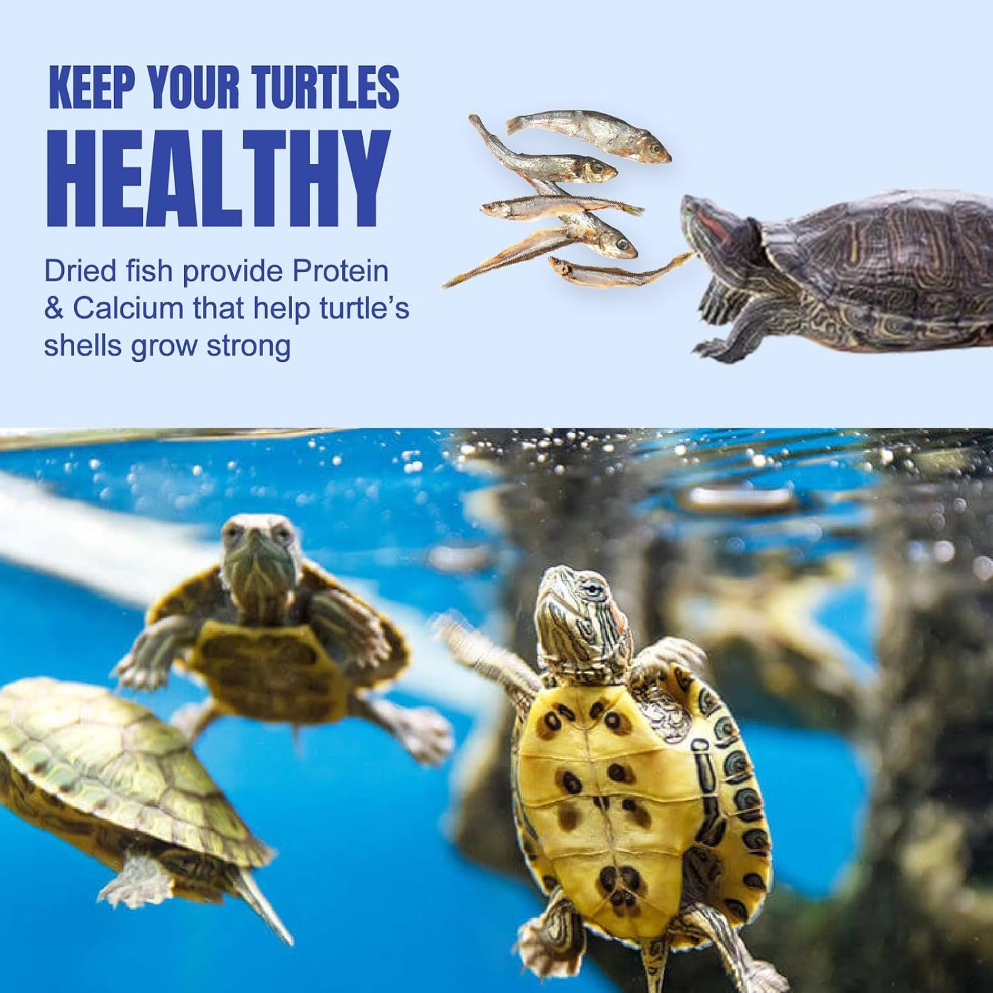 Amzey 2.3 oz Dried River Fish - Natural Food for Turtles, Terrapins, Reptiles and Large Tropical Fish