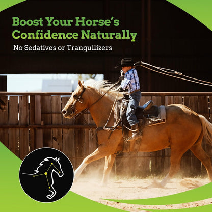 SynChill AF Behavioral Support Gel for Horses – Single Serving – Advanced L-THEANINE-Free Formula, 100% Natural Supplement, Composure, Focus & Confidence Support for Horses - 10 Pack