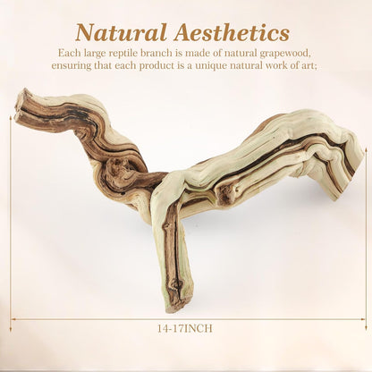 Janinka 14-17" Length Large Wood Reptile Branch for Bearded Dragon Driftwood Reptile Climbing Habitat Decoration for Terrarium Tree Trunk Ornament Gecko Frog Chameleon Spider