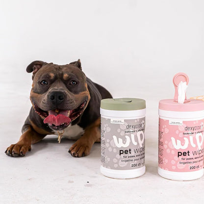 Dexypaws: Pet Wipes - Oatmeal & Vitamin E - 200ct Canister, Cleansing Wet Wipes, Cats & Dogs Grooming Care, Paws-Face-Ears-Nose, Moist-Gentle-Portable