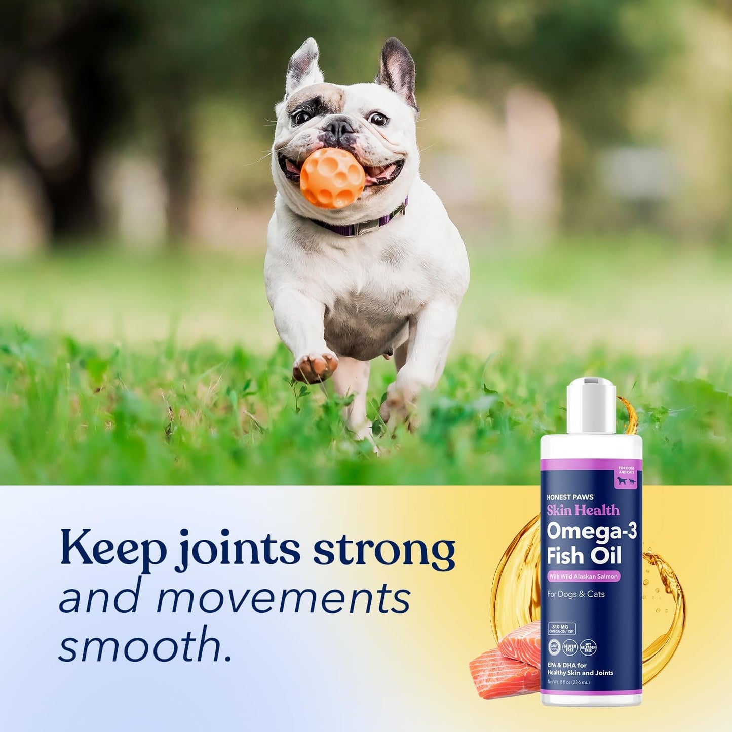 Honest Paws Salmon Oil for Dogs & Cats – Omega 3 Fish Oil Supplement for Skin, Coat, Joint & Heart Health – Natural, Sustainably Sourced Wild Alaskan Salmon, 8 oz