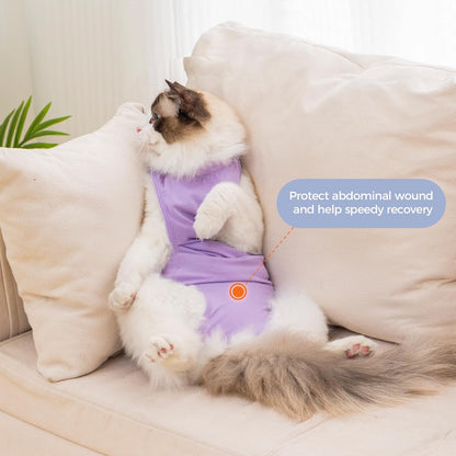 Avont Cat Recovery Suit Post-Surgery Onesie, Breathable Cone-of-Shame Alternative Bodysuit for Spayed Female Kittens, Skin Abdonminal Wound Care -Purple(M)