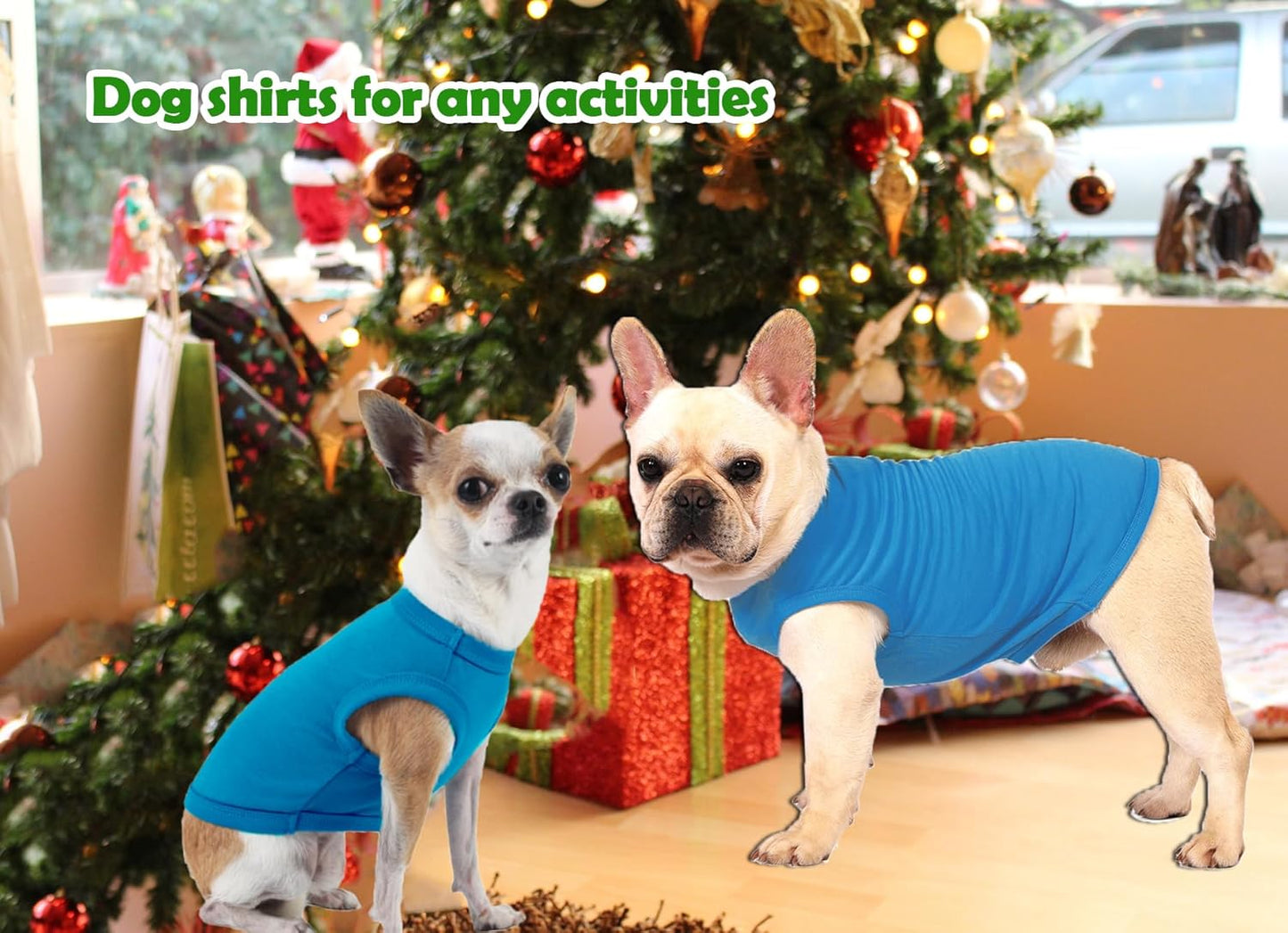 Dog Blank Blue Shirt,Boy Girl Dogs Extra Large Cotton Tee Shirts,Plain Labrador T-Shirt,XXL Blue Royal