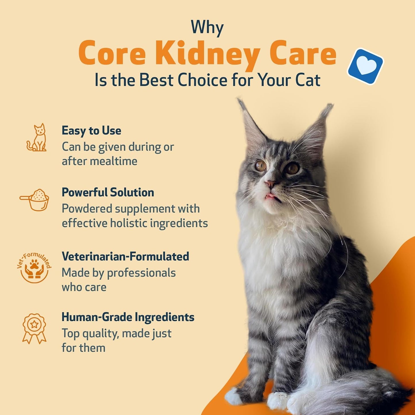 Pet Wellbeing Core Kidney Care for Cats - Daily Phosphate Binder, Supports Healthy Kidney Function with FOS, Chitosan, Probiotics - Veterinarian-Formulated 5.08 oz (144 g) Powder