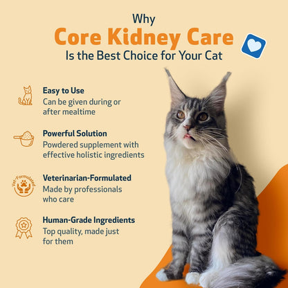 Pet Wellbeing Core Kidney Care for Cats - Daily Phosphate Binder, Supports Healthy Kidney Function with FOS, Chitosan, Probiotics - Veterinarian-Formulated 5.08 oz (144 g) Powder