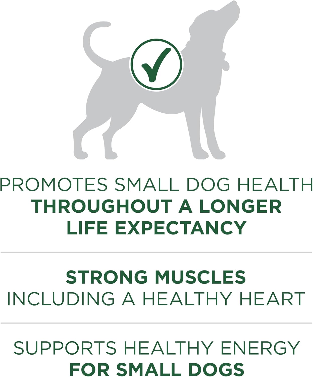 Purina One Small Breed Plus High-Protein Dog Food Lamb and Rice Formula Dry Dog Food - 7.4 lb. Bag