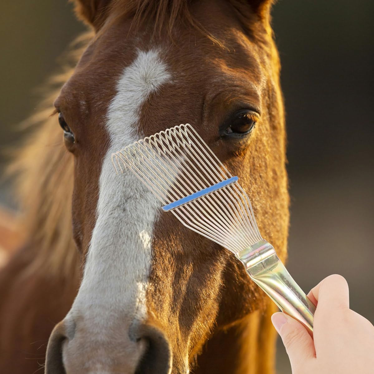 Homoyoyo Sheep Wool Comb Brush and Horse Hair Rake for Livestock Grooming, 23Cm Small Yellow Deshedding Tool for Cattle and Farm Animal Hair Removal