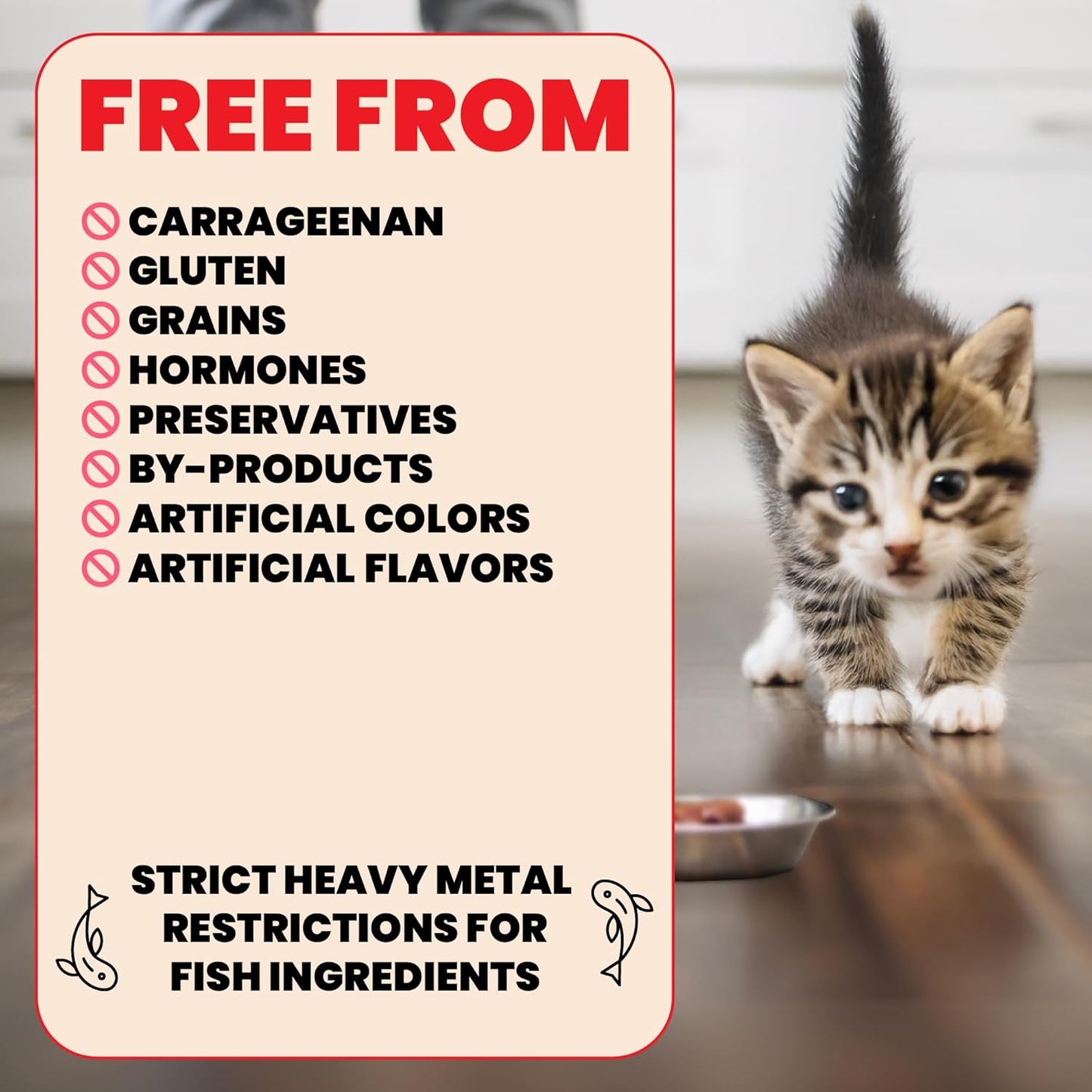 almo nature HQS Natural Wet Cat Food Chicken Recipe in Broth - Kitten, Grain-Free, 2.47 oz (Pack of 24)