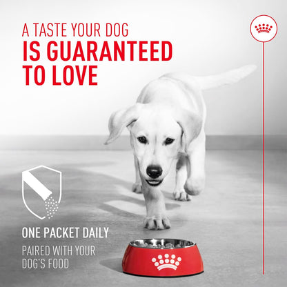 Royal Canin Probiotics for Dogs Digestive and Immune Health Powder Supplement for Dogs of All Ages, 30 Count