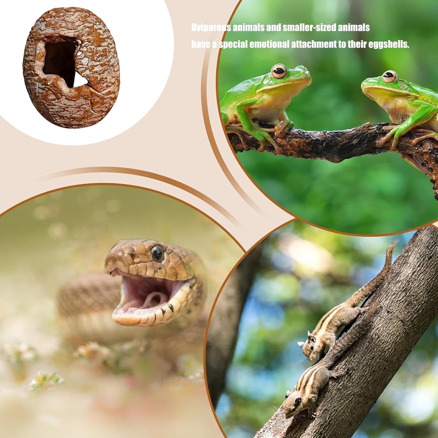 Low Maintenance Reptiles Habitat Upgrade Dinosaur Hide Cave with Textured Exterior Terrarium Stress Relief Decor Hot Swappable Terrariums Addons