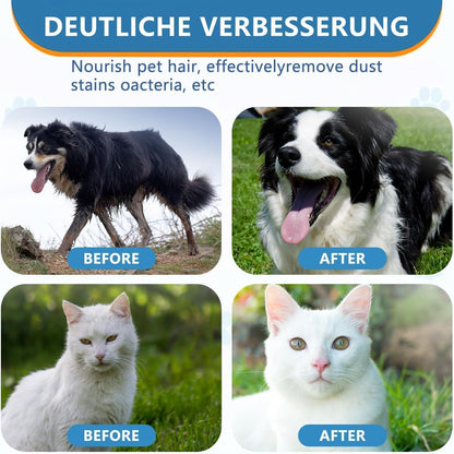 HONGYEE【4 Packs/24 Sheets Pet Thick Glove Wipes, Disposable Pet Cleaning Wipes, Odorless and Fragrance-Free, Suitable for Daily Care, Cleaning, and Grooming of Dogs and Cats