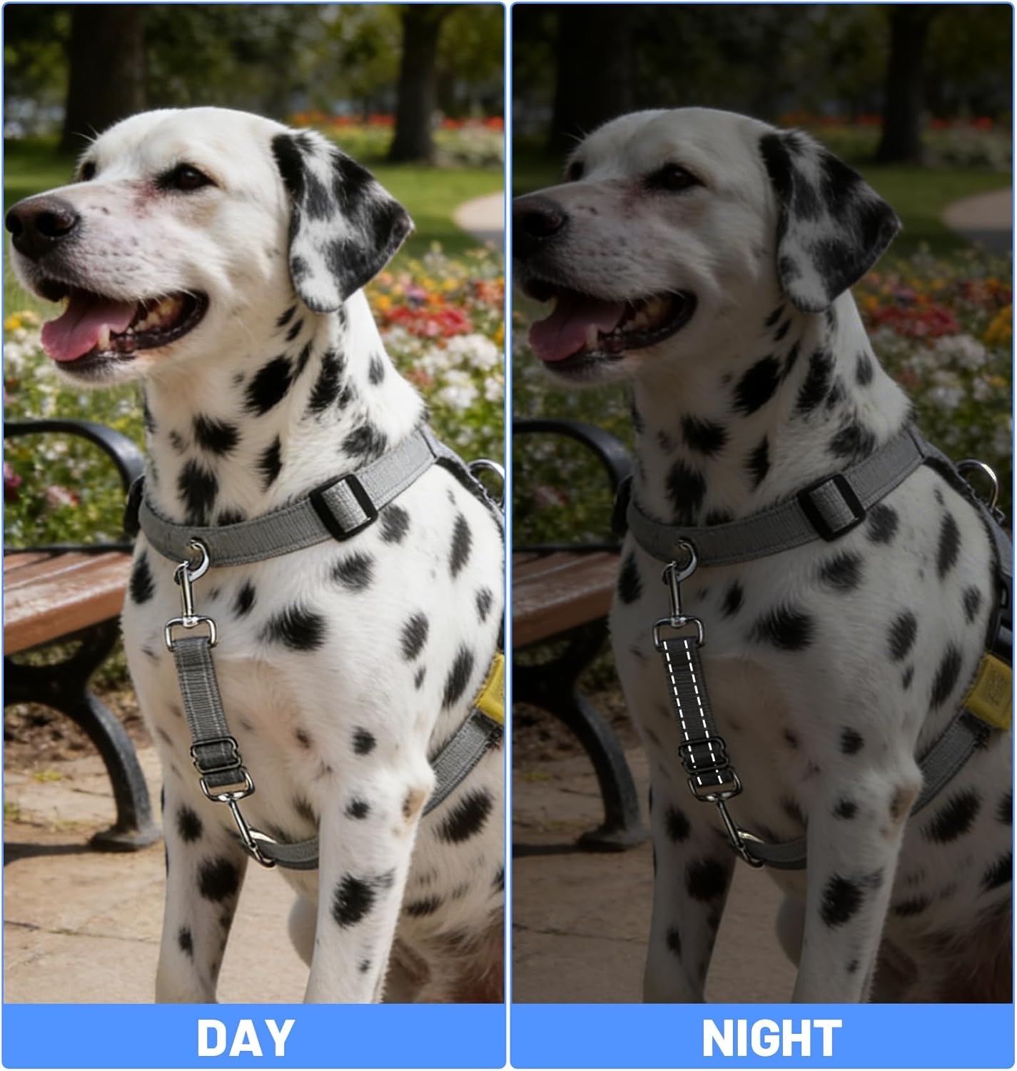 2 Pack Dog Collar Safety Clip, Adjustable Dog Safety Clip with Reflective Double Ended Backup Clasp, Leash Connector for Harness to Collar (Grey & Black)