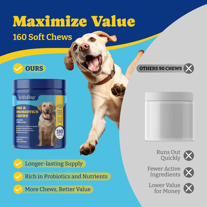Probiotics for Dogs - Dog Probiotics for Gut, Immune & Skin Health - 6 Billion CFUs, 180 Soft Chews, Salmon & Blueberry Flavor - with Prebiotics & Digestive Enzymes