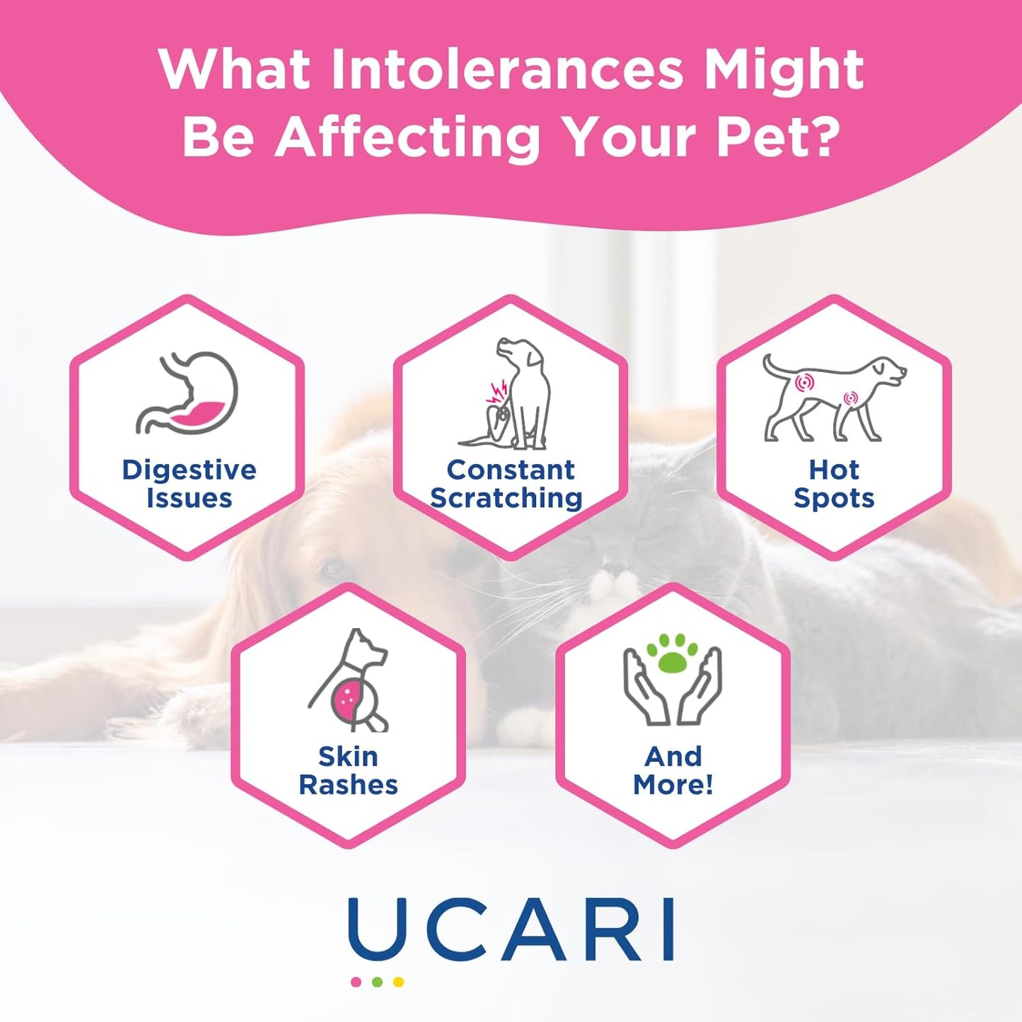 UCARI Pet Sensitivity Test | Screens for 1000+ Intolerances | Food & Environment Analysis | Painless Home Test Hair Sample Method | Results in 48 Hours | Cats & Dogs