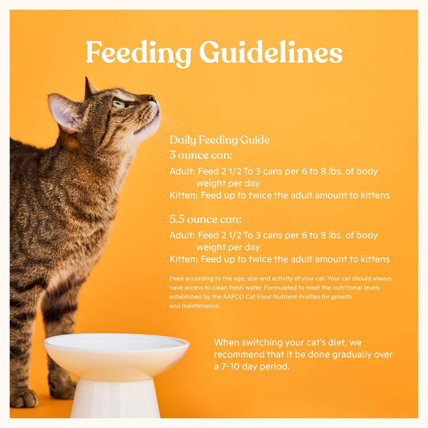 Made by Nacho Sustainably Caught Salmon & Sole Recipe with Bone Broth Minced Wet Cat Food, 5.5-oz can, Case of 24