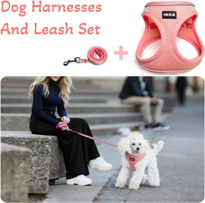Dog Harness and Leash Set, No Pull Soft Mesh Pet Harness -in Puppy Pet Vest Harnesses for XS,Small,Medium Dogs and Cats Pink-M