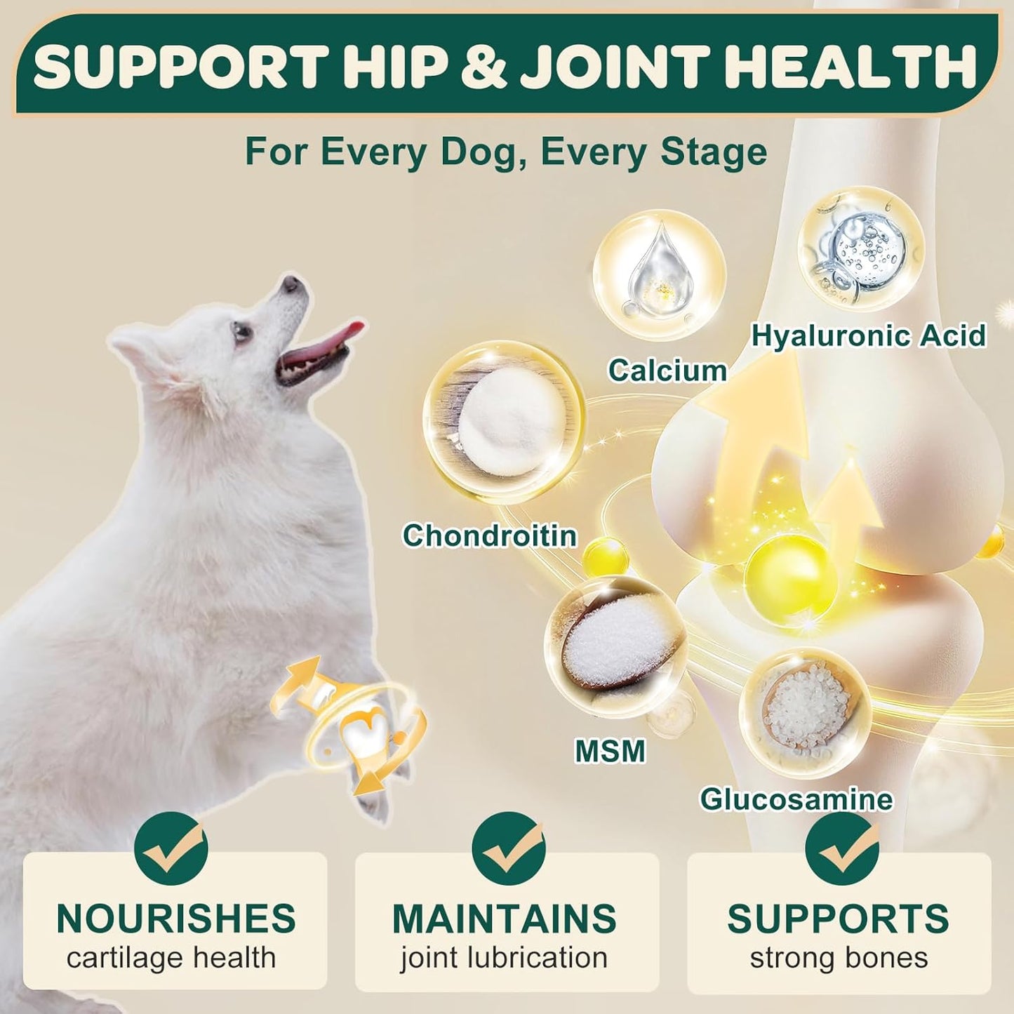 Glucosamine for Dogs, Hip and Joint Supplement for Dogs with Chondroitin, MSM, Turmeric, Omega-3 & Calcium, Dog Glucosamine Supports Pain Relief, Mobility & Comfort, Chicken Flavor, 120 Soft Chews